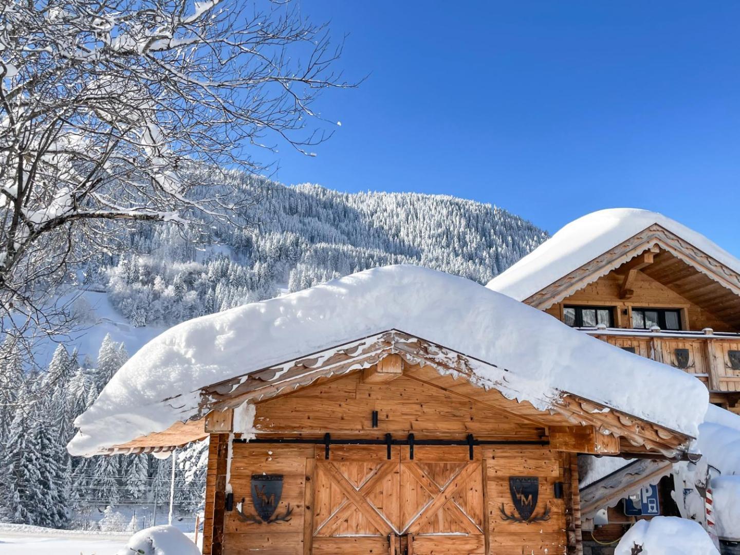 Aparthotel Genusshotel Vermala Montafon