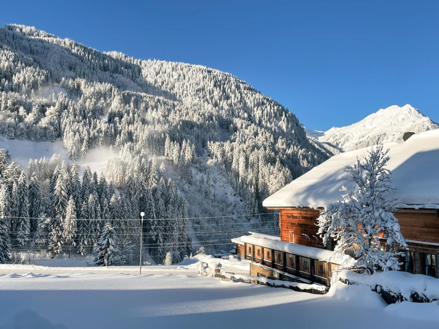 Genusshotel Vermala Montafon Aparthotel